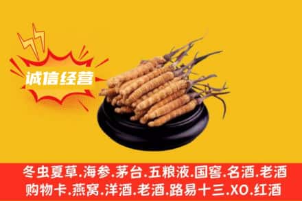 盐城市大丰回收冬虫夏草